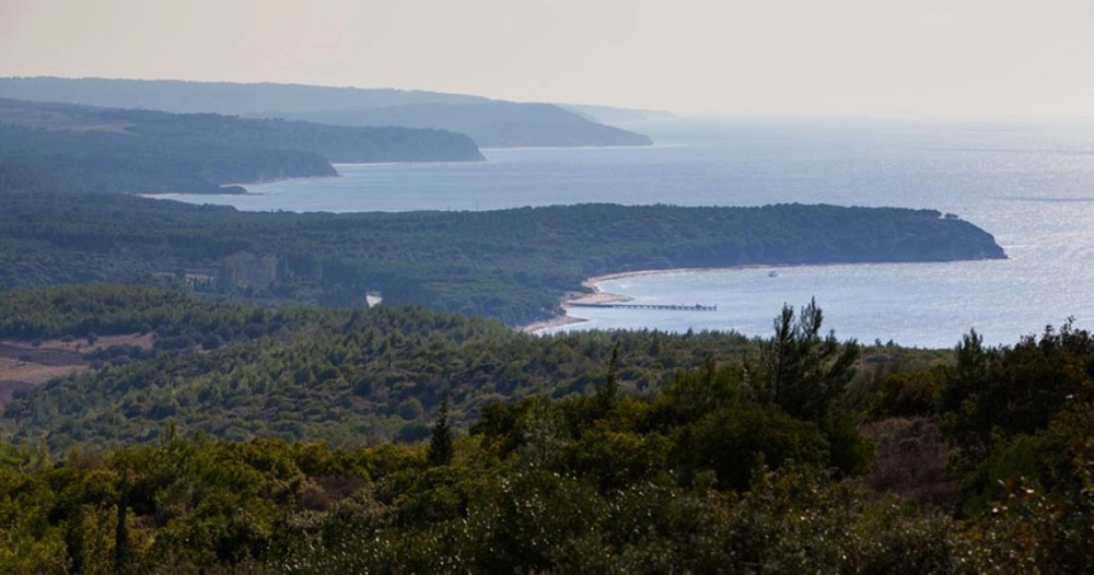 beach_2272