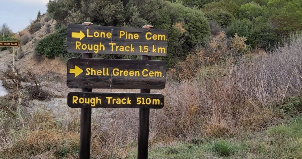 lone-pine_2419